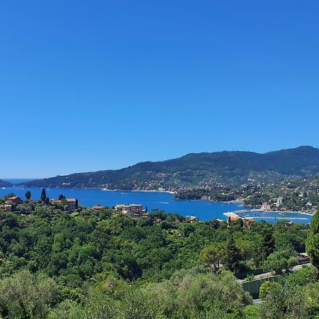 Villa Joana Дзоальи Экстерьер фото