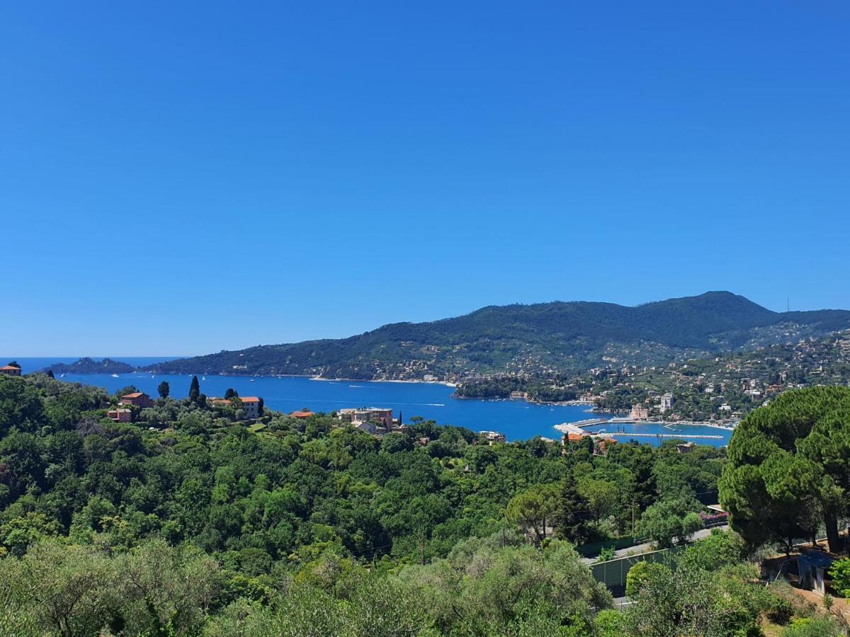 Villa Joana Дзоальи Экстерьер фото